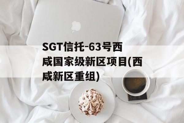 SGT信托-63号西咸国家级新区项目(西咸新区重组)