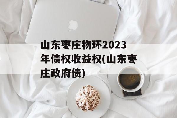 山东枣庄物环2023年债权收益权(山东枣庄政府债)