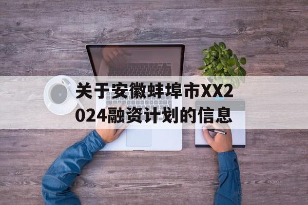 关于安徽蚌埠市XX2024融资计划的信息