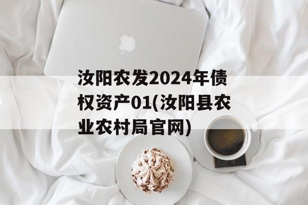 汝阳农发2024年债权资产01(汝阳县农业农村局官网)